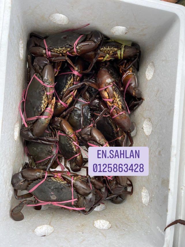 Ketam Bakau Borneo Sabah, Food u0026 Drinks, Food u0026 Drinks - Others on 