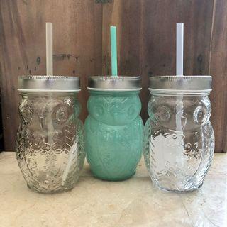 NEW Typo Owl Glass Mugs - set of 3 pcs