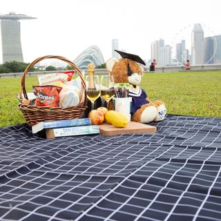 Beach online mat singapore
