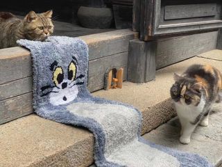 (Category: ) located in . Submitted by teohkp (Listing ID 1094137055, Image 1). Description: .