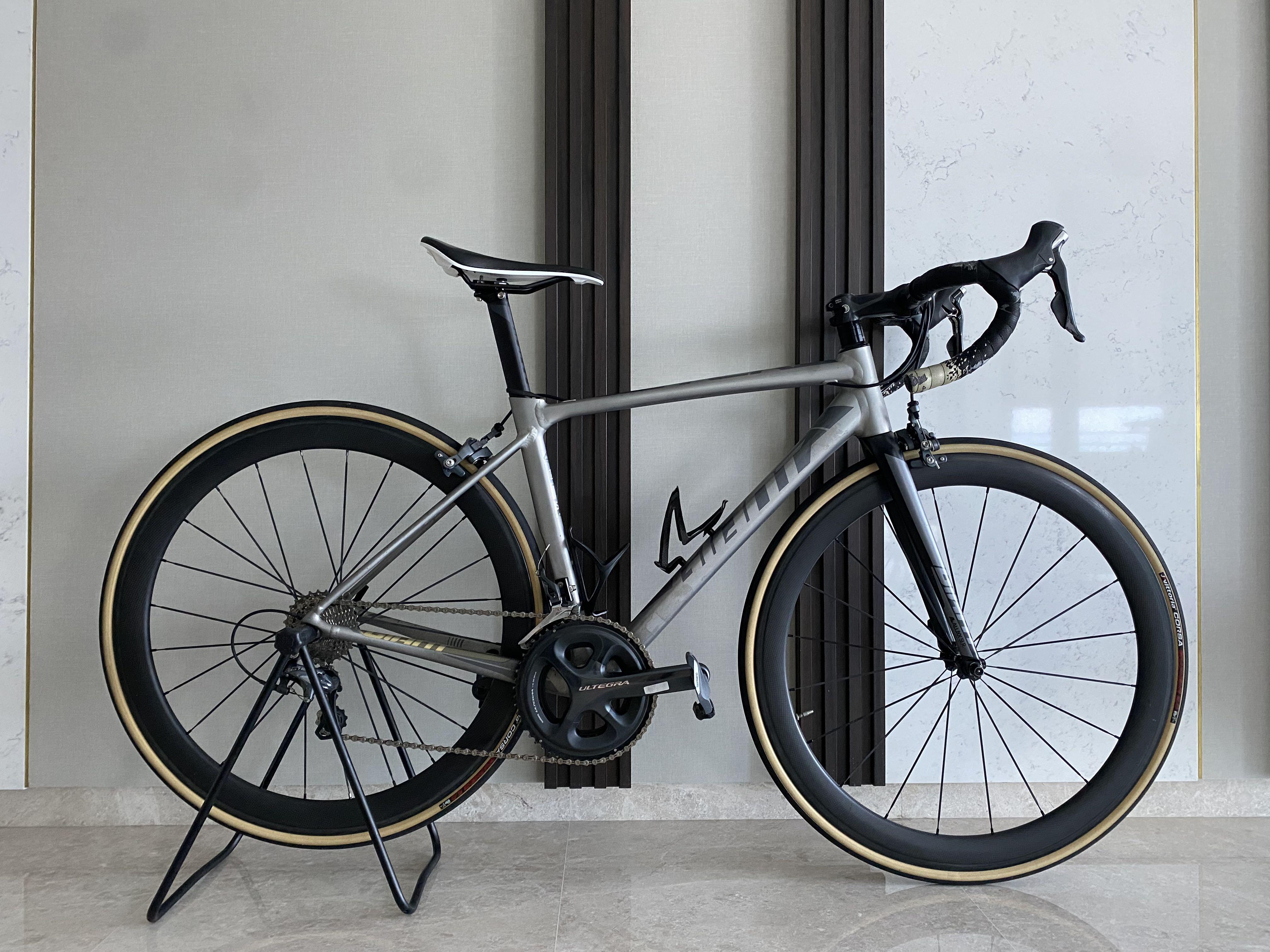 Tcr sl 2019 2025