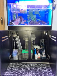 (Category: ) located in . Submitted by benedicttan6768 (Listing ID 1094360722, Image 1). Description: .