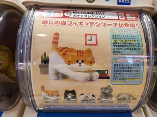 (Category: ) located in . Submitted by lexking5 (Listing ID 1094516158, Image 1). Description: .