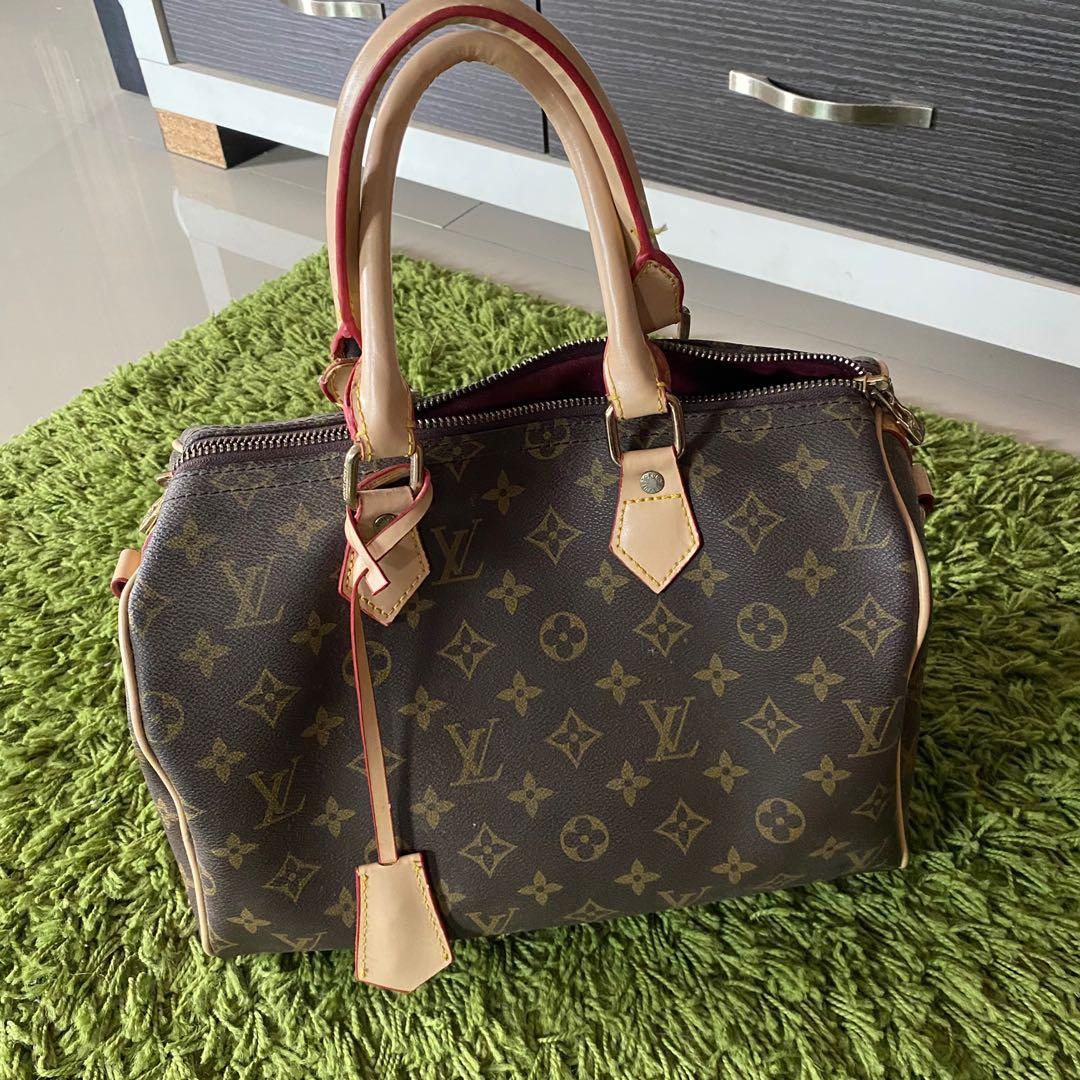 The Ultimate Bag Guide The Louis Vuitton Speedy Bag  PurseBlog