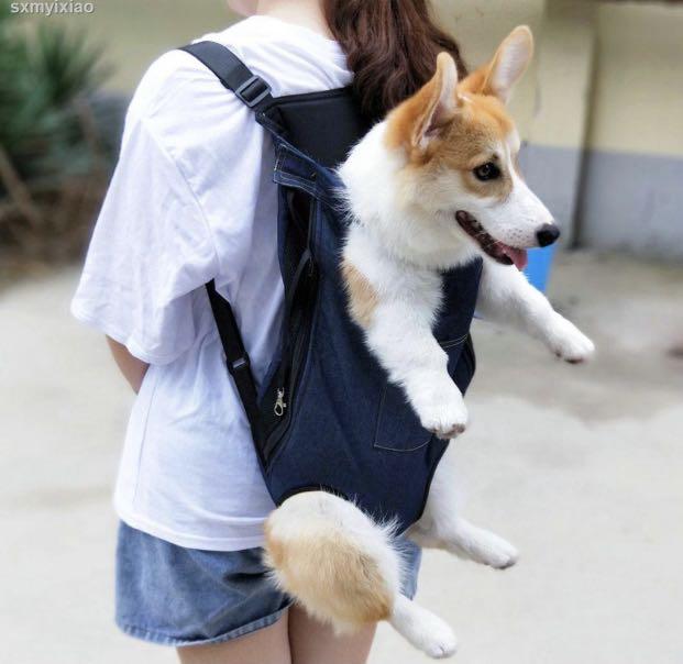 Corgi dog backpack deals