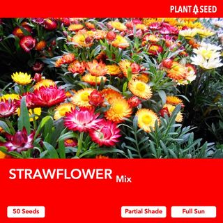 (Category: ) located in . Submitted by plantaseed (Listing ID 1094410051, Image 1). Description: .