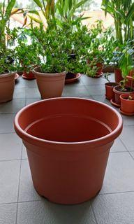 flower pot furniture home living gardening pots planters on carousell