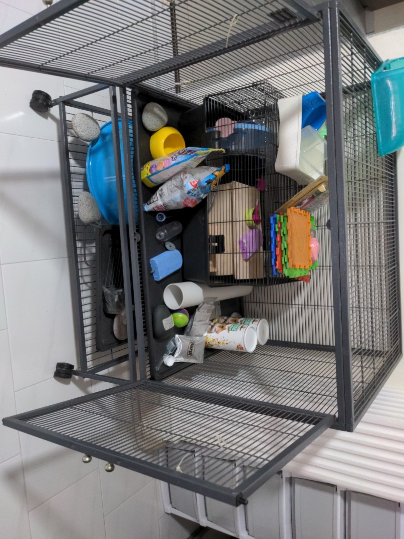 Used ferret new arrivals nation cage