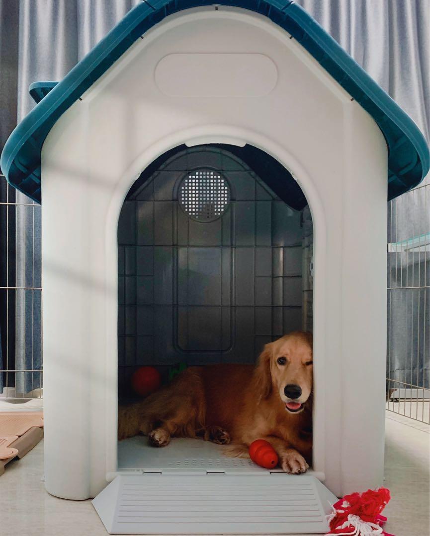 XXL Plastic Dog House with Teal Roof (Door included), Pet Supplies