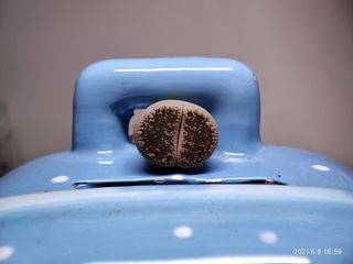 （分類：）位於 。 由 qookids 提交（商品編號 1094621861，圖片 1）。簡介： 。