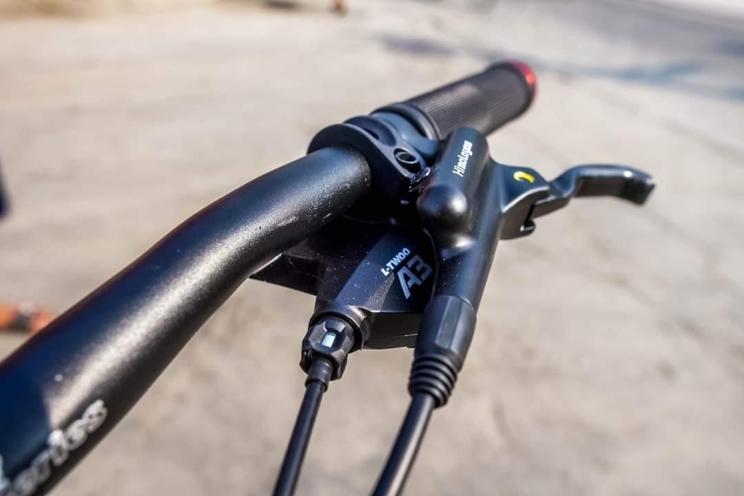 betta dumbo tail 29er