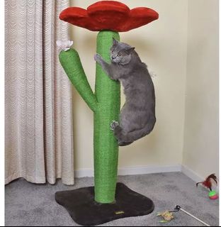 (Category: ) located in . Submitted by allforpets (Listing ID 1094644794, Image 1). Description: .