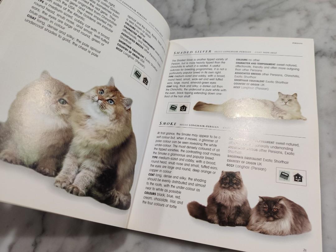 What Kind Of Cat Do I Have A Guide To Identifying Cat vrogue.co