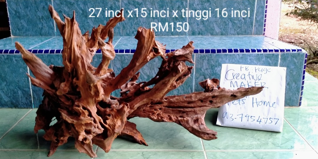 Kayu Aquarium Unik Bercabang Keras Pet Supplies Pet Accessories On Carousell