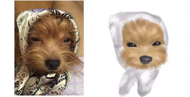 Pet portrait commission (Category: Homes & Other Pet Accessories) located in Mandaluyong City. Submitted by tkbuys (Listing ID 1094681389, Image 3). Description: Pet portraits for sale! See photos for sample reference. No revisions. Rough rendering only.