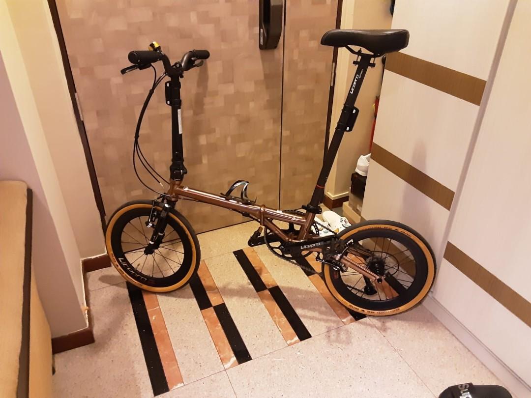 Fnhon Gust Rose Gold Foldable bicycle