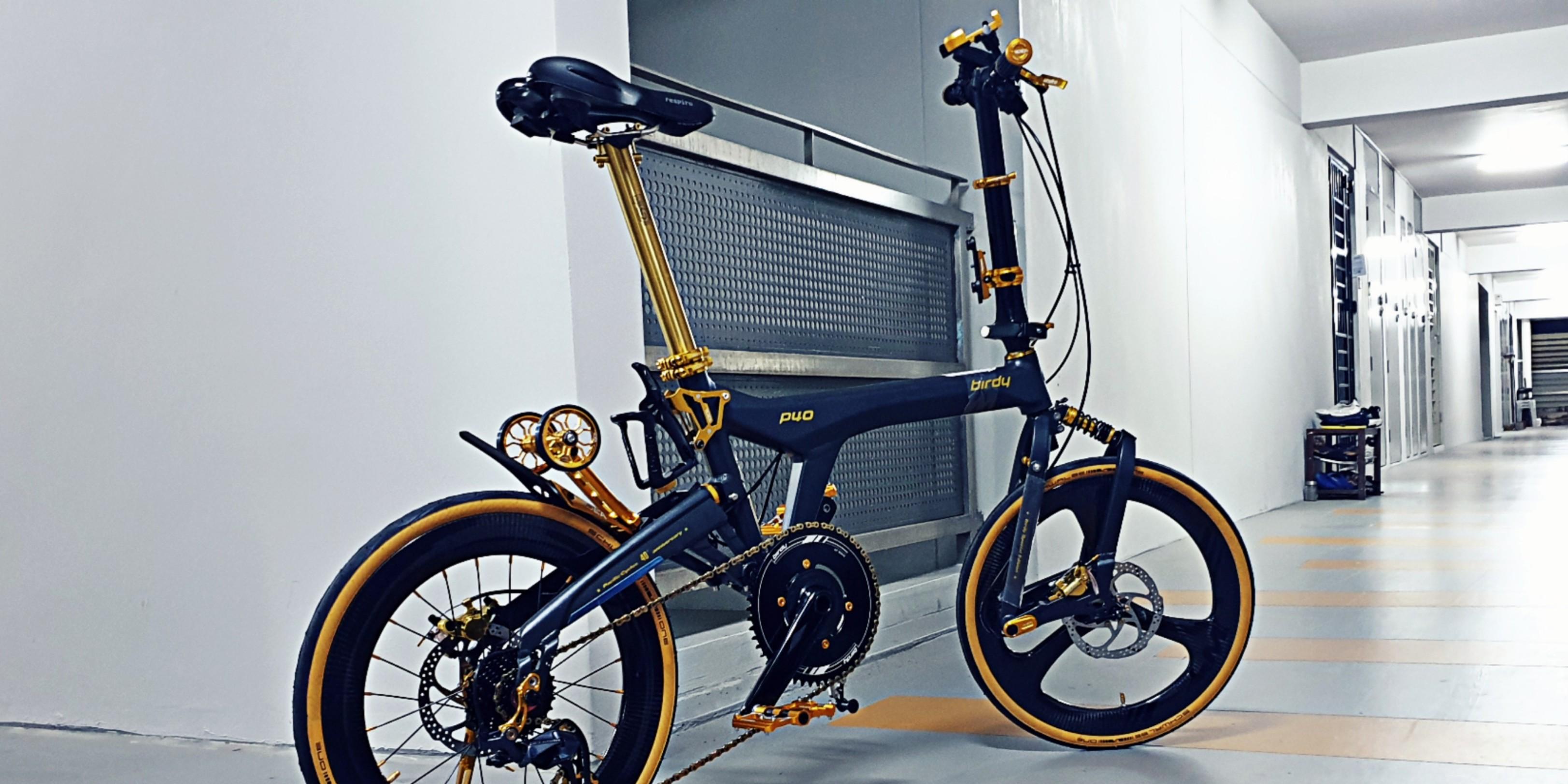 Birdy hot sale bicycle accessories