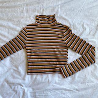 Striped cropped turtle neck