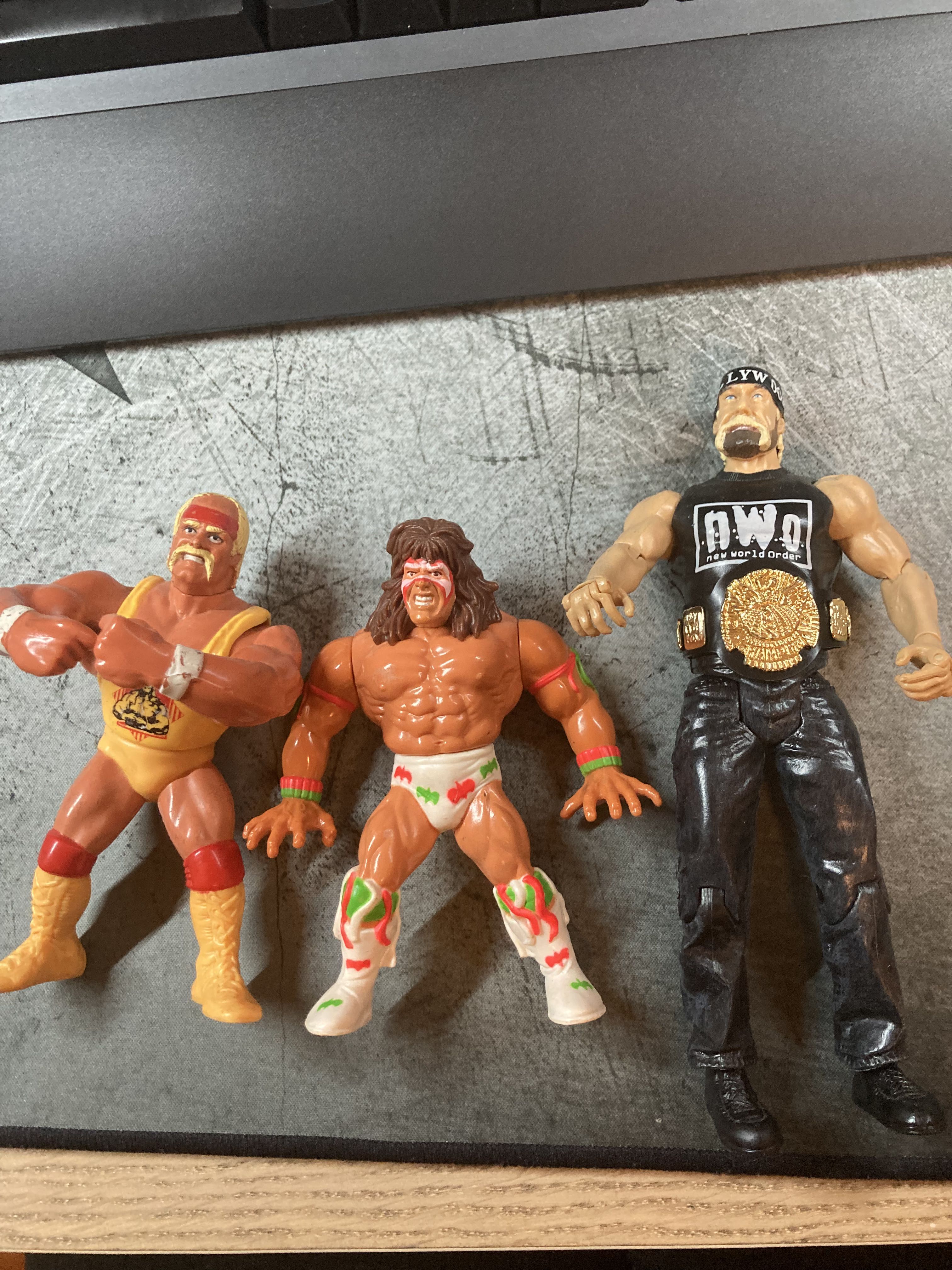 WWE Jakks Figuren von Hogan Doink Undertaker Hardy Typhon Warrior Wrestling WWF 