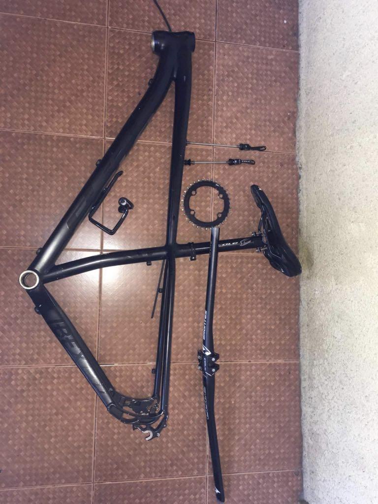 Cole ibex 29er shop