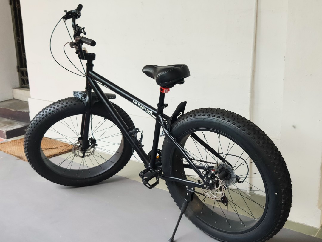 Fat buggs store bike