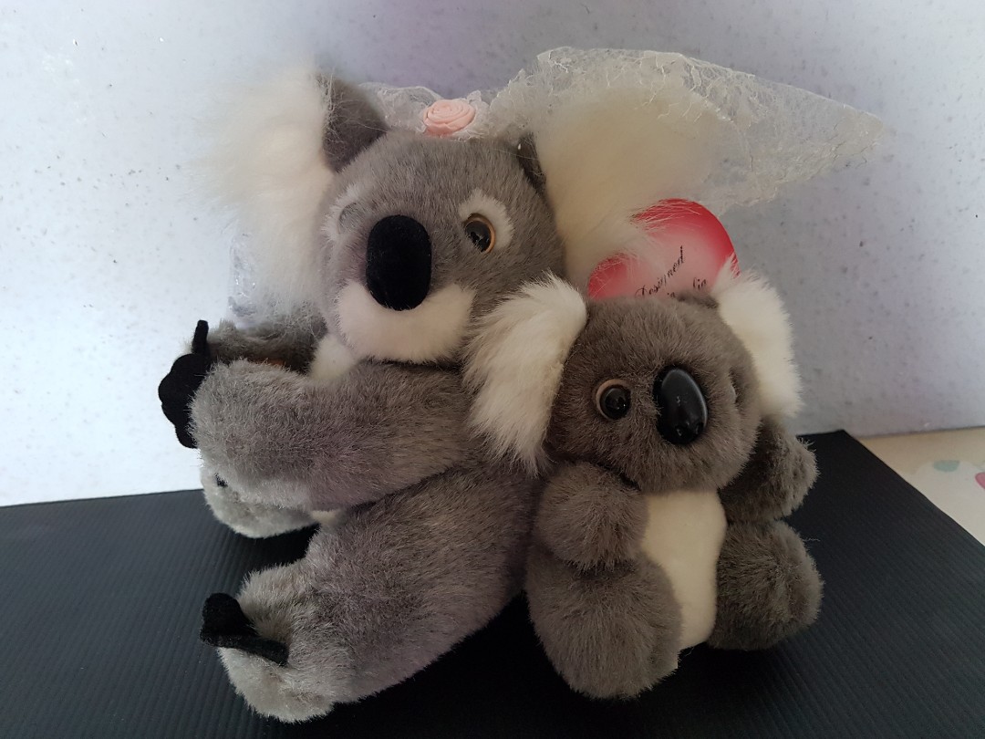 koala cuddly toy