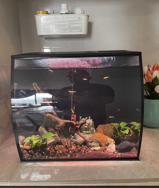 Flex top aquarium kit