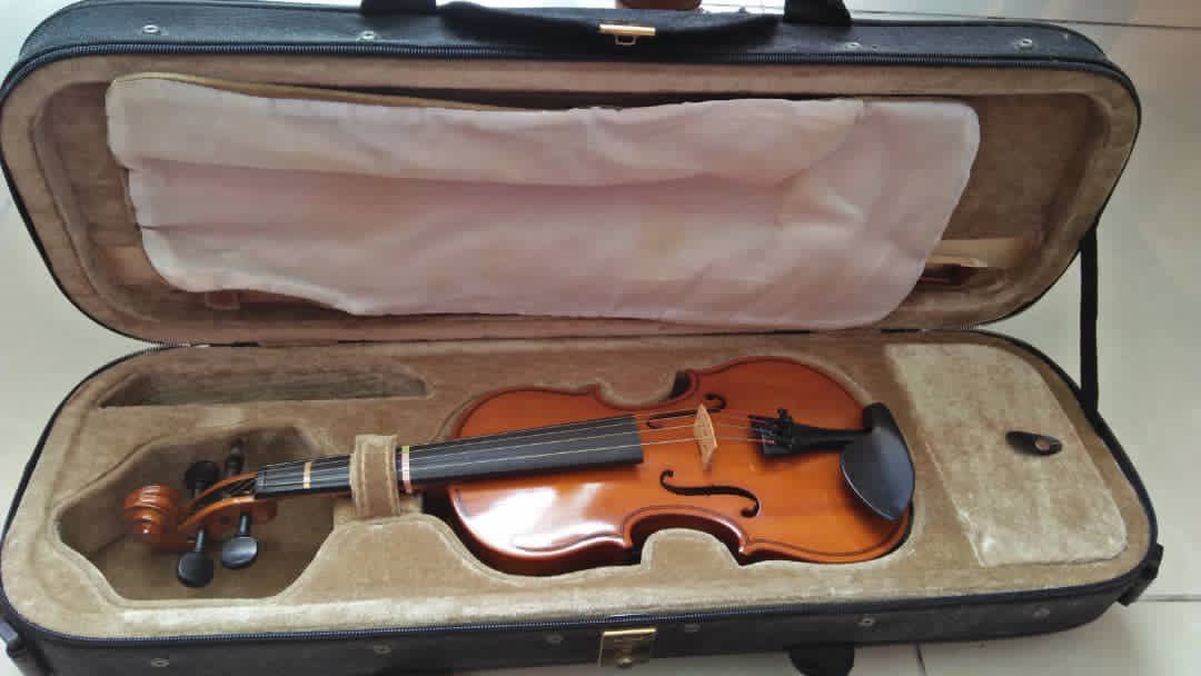 Giuliani violin shop
