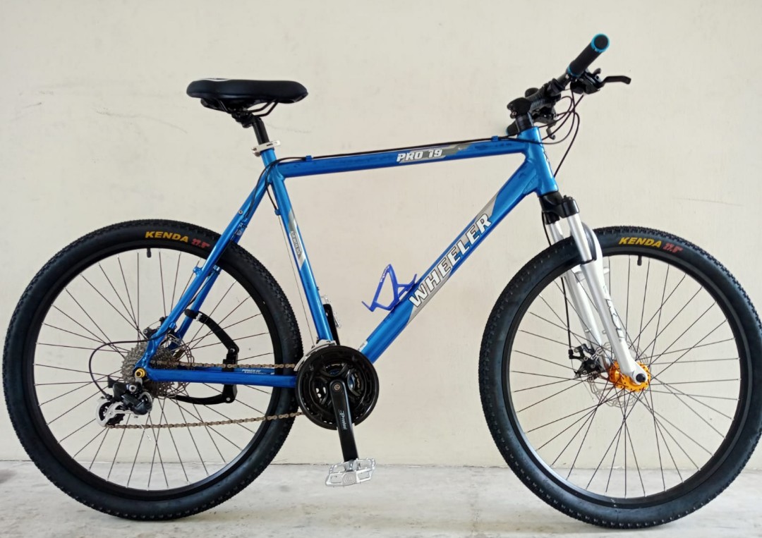 Wheeler (Germany) Pro 19 MTB, XXL 