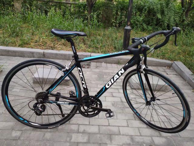 Giant ocr 2600 price store