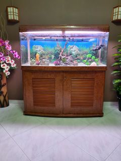 (Category: ) located in . Submitted by kasy1990 (Listing ID 1095179883, Image 1). Description: .