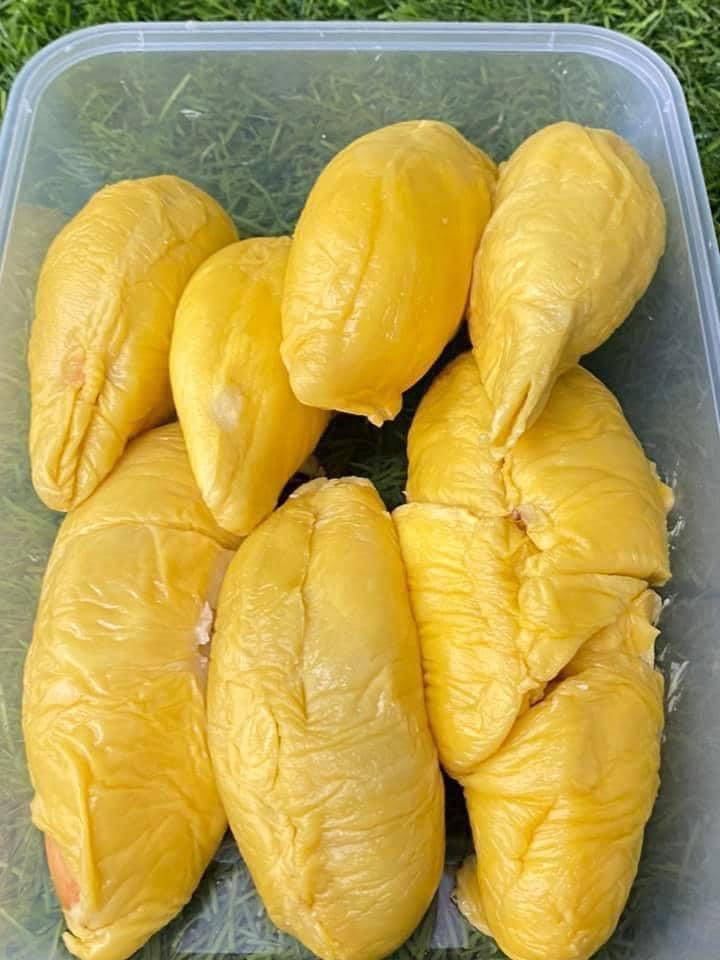 Durian, Furniture & Home Living, Kitchenware & Tableware, Food