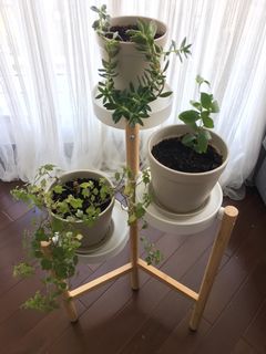（分類：）位於 。 由 hkmom852 提交（商品編號 1095020615，圖片 1）。簡介： 。