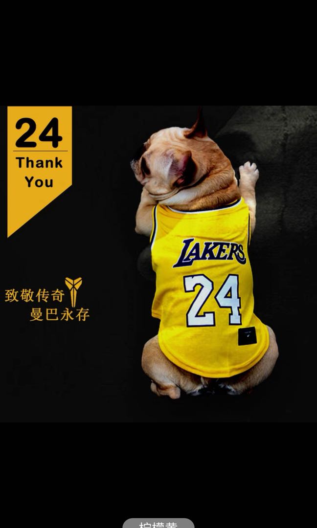 Dog, La Lakers Pet Jersey 24 Size Small