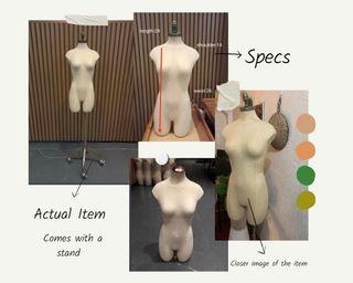 Pinnable Mannequin W/Out Stand 
