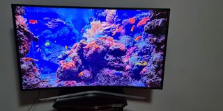 (Category: ) located in . Submitted by sudaak (Listing ID 1095150234, Image 1). Description: .