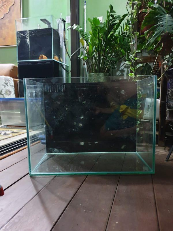 2 Feet 60 Cm Back Ios Glass Tank Pet Supplies Homes Other Pet Accessories On Carousell