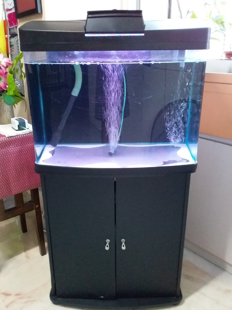 2ft tank with & canister filter, Pet Supplies, Homes & Other