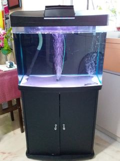 (Category: ) located in . Submitted by seniorteo (Listing ID 1095293508, Image 1). Description: .
