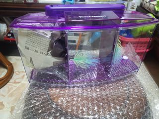 (Category: ) located in . Submitted by kwanhungfei (Listing ID 1095313613, Image 1). Description: .