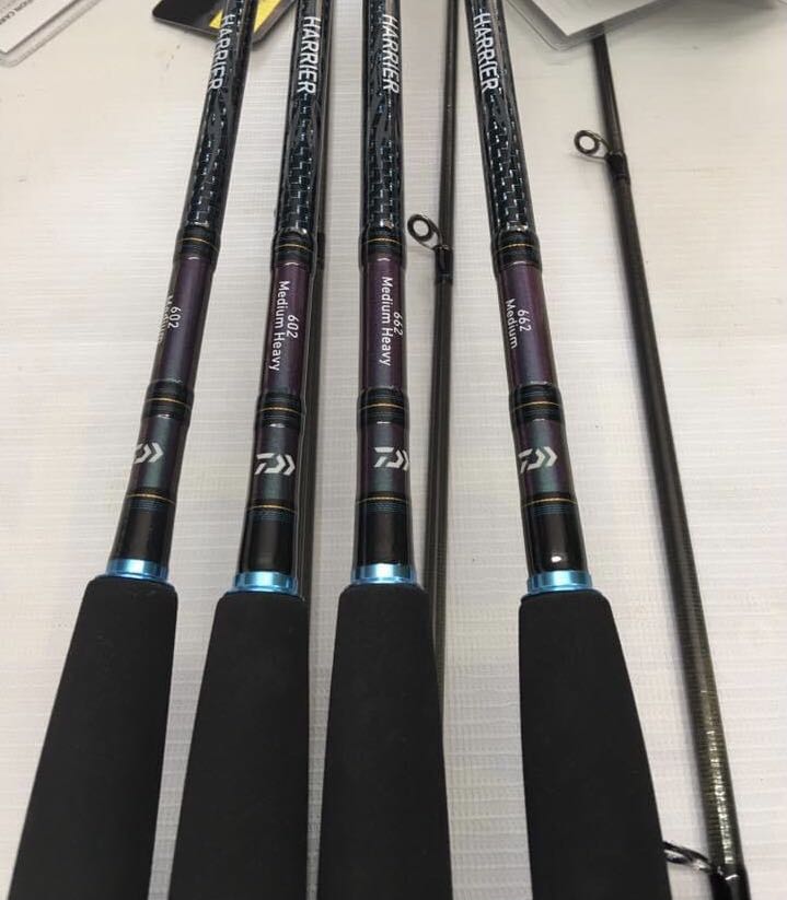 Daiwa Harrier 602MB-SD, Sports Equipment, Fishing on Carousell