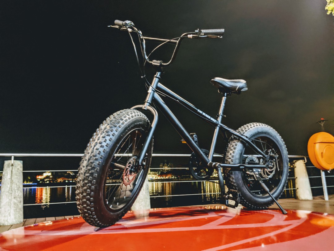 Fat Buggs Bike