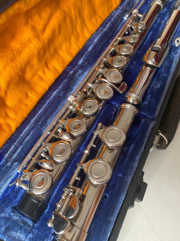 Flute, Hobbies & Toys, Music & Media, Musical Instruments On Carousell