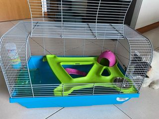 (Category: ) located in . Submitted by kucingoren_ (Listing ID 1095350801, Image 1). Description: .