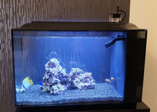 (Category: ) located in . Submitted by vinniey (Listing ID 1095256192, Image 1). Description: .