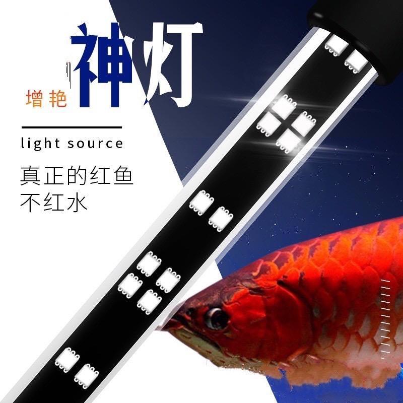 キ*ン様 Arowana Magical Light Series S23eaefc1e6234d82adf0f7b65b6c6