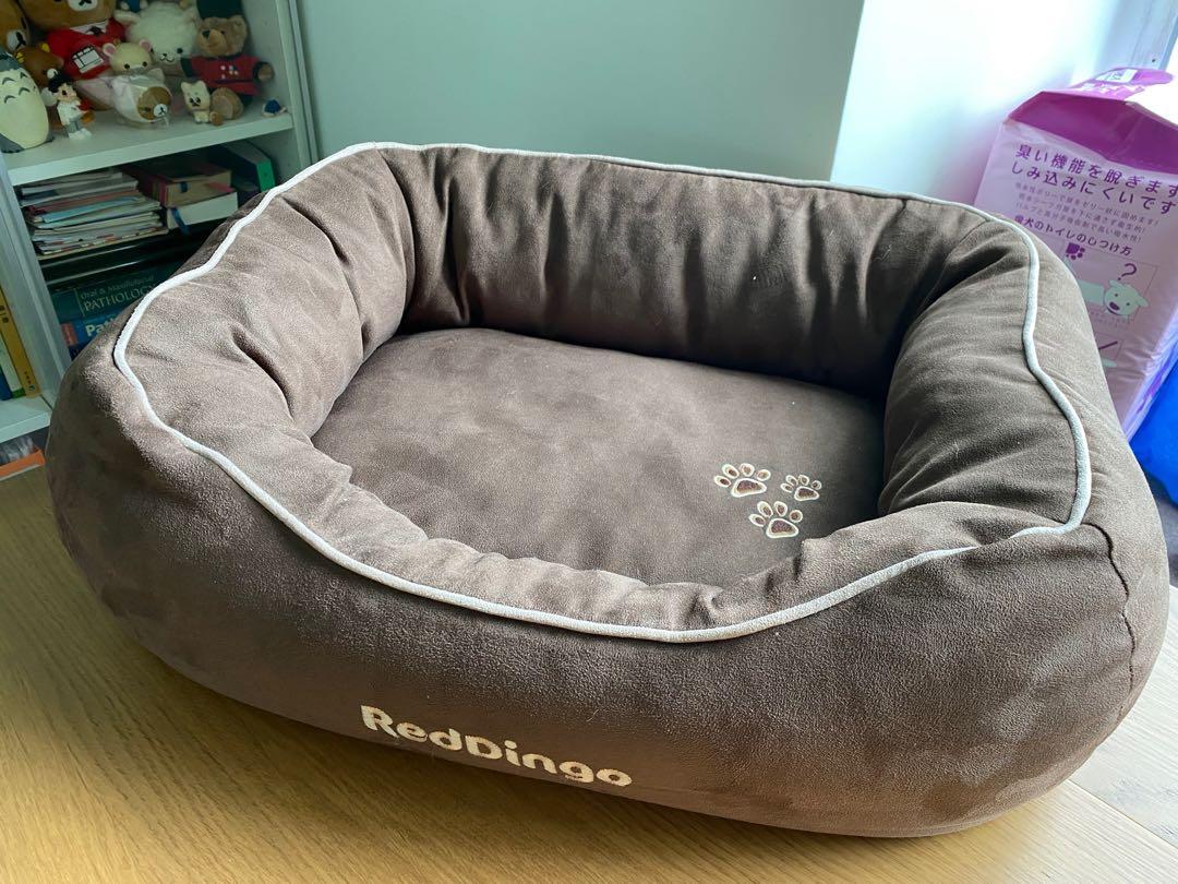 red dingo bed