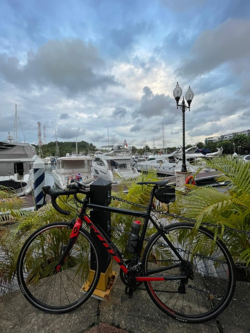 Scott speedster s50 deals road bike