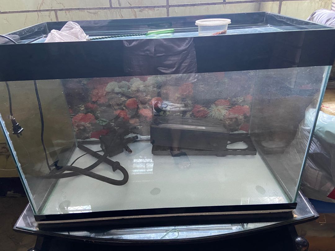 35 gallon fish shop tank