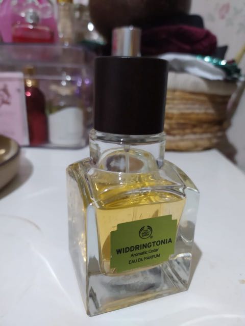 The body shop widdringtonia